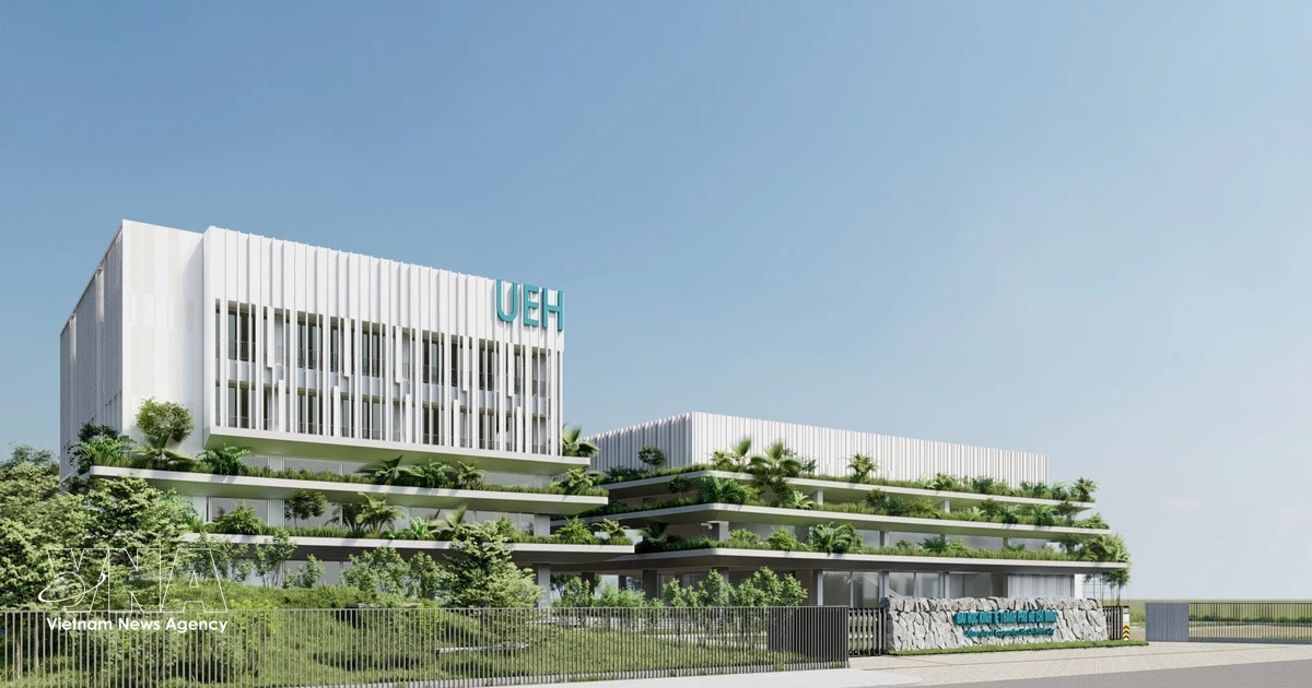 Vietnam boasts record 17 universities in 2026 THE Sustainability Impact Ratings