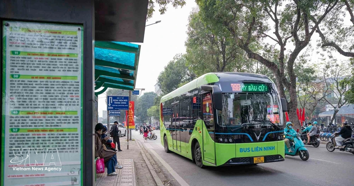 Free bus fares expected to encourage shift away from private vehicles