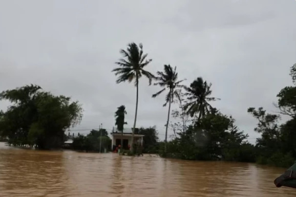 Da Nang explores ‘sponge city’ model to tackle urban flooding