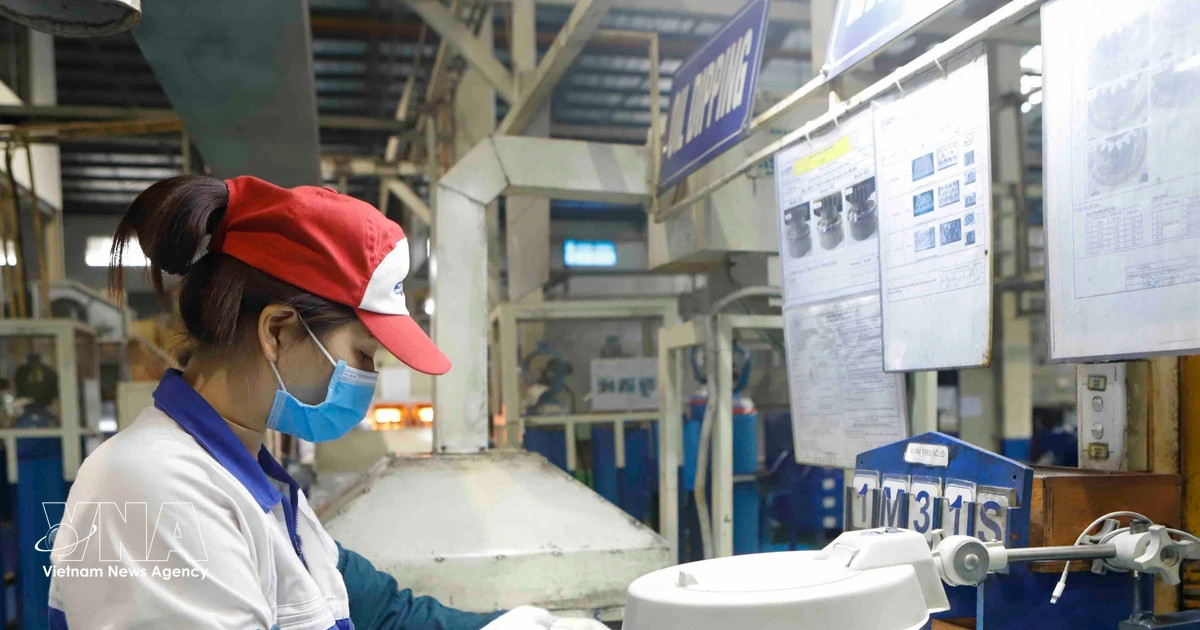 VN sustains growth momentum in first five months, bolstering double-digit target