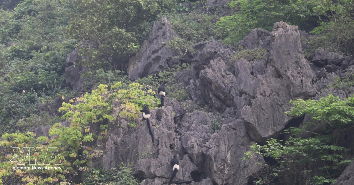 Ninh Binh’s millennia-old treasure seeks World Heritage status
