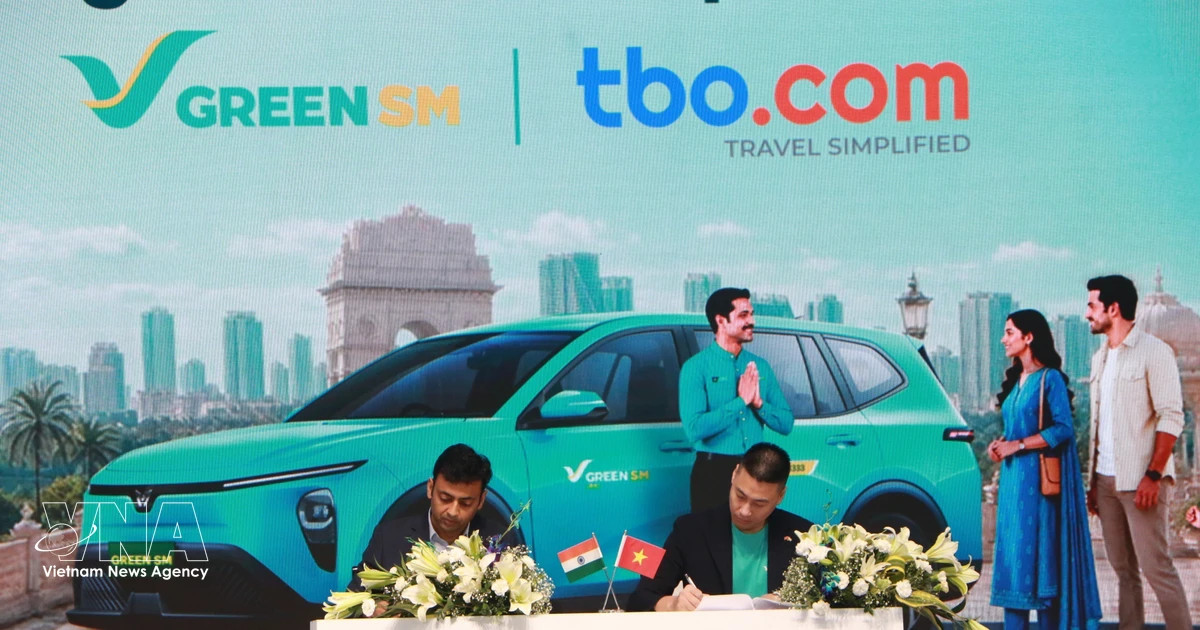Vietnam’s overseas investment rises 2.5-fold in Jan-May