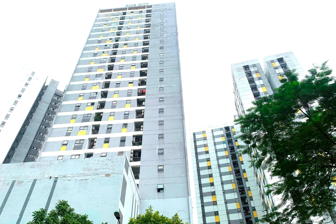 Experts outline strategic blueprints for rental housing growth