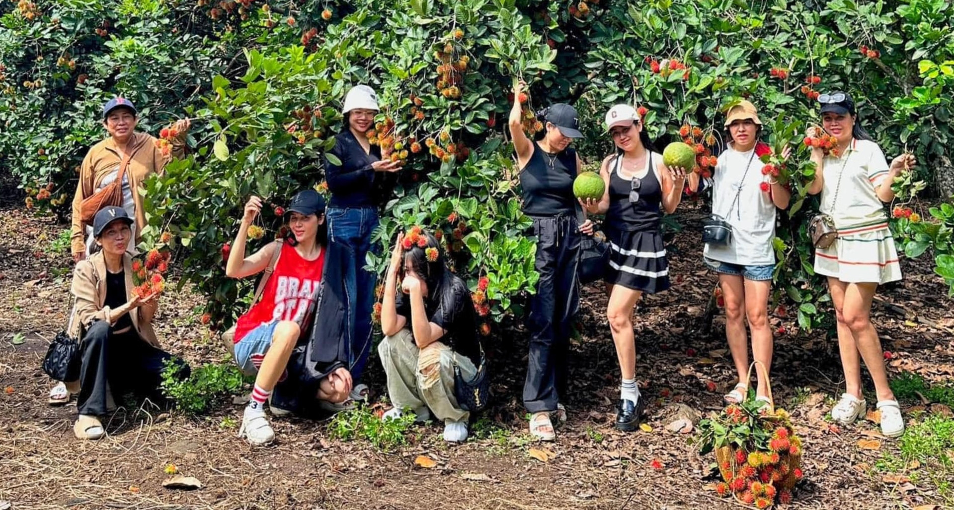 Once a year, visitors flock to Dong Nai’s fruit orchards for harvest season