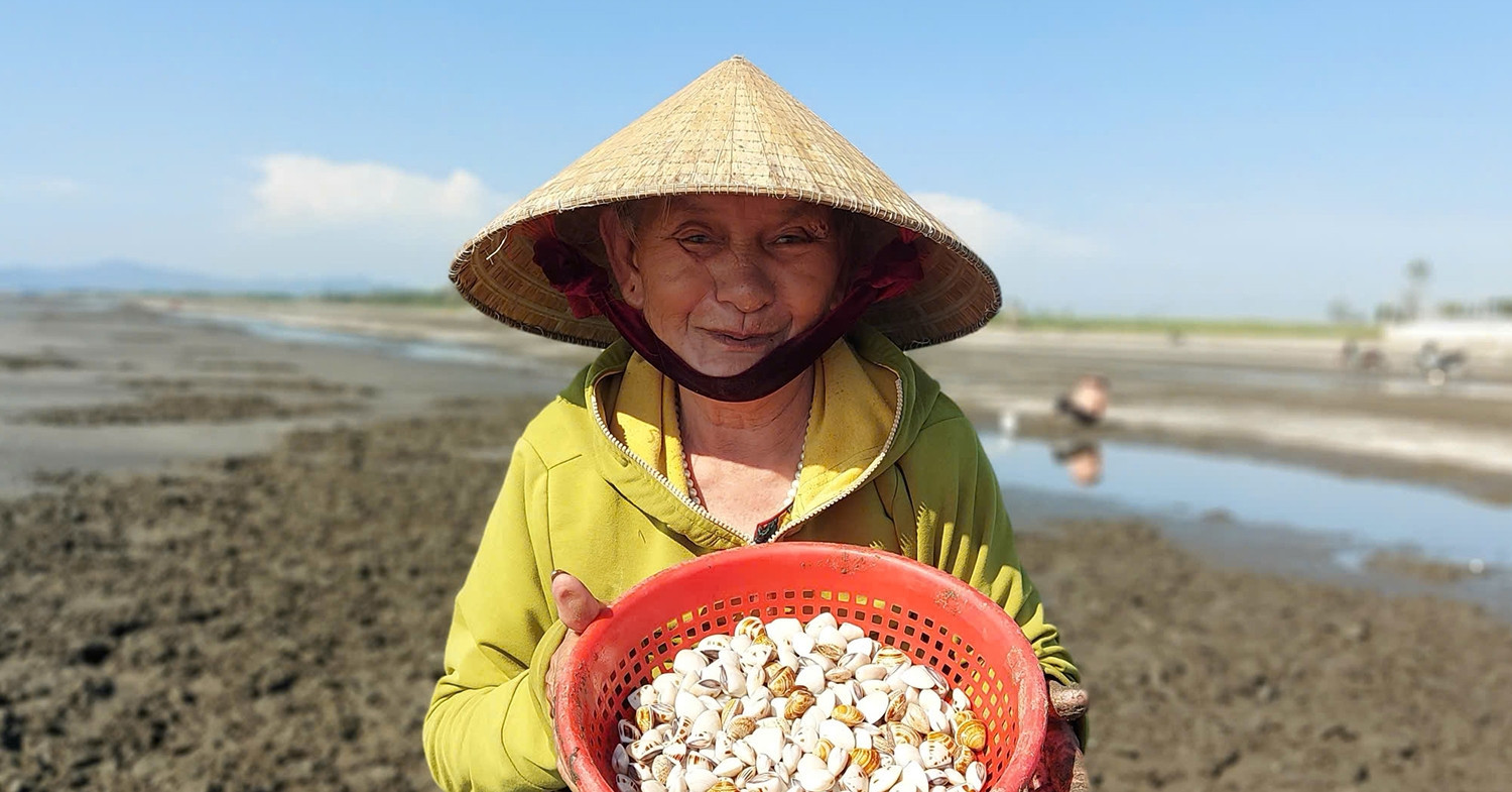 The hidden hardship behind the sweet taste of Hai Chau clams