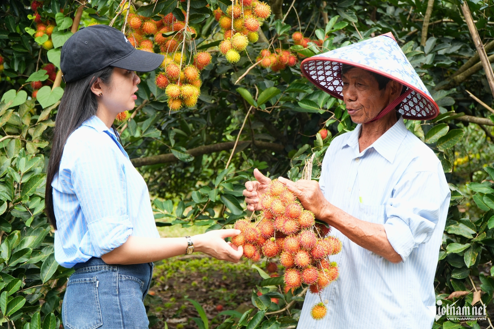 vietnam orchard4.jpg