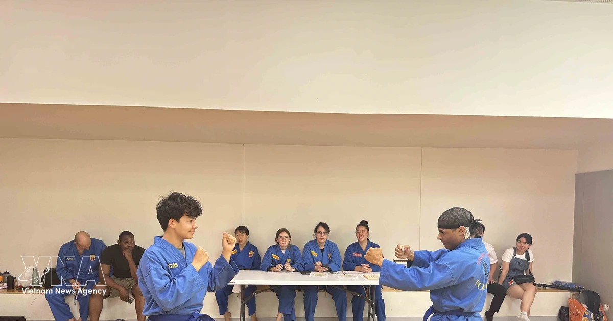 Paris Vovinam club promotes Vietnamese culture in France