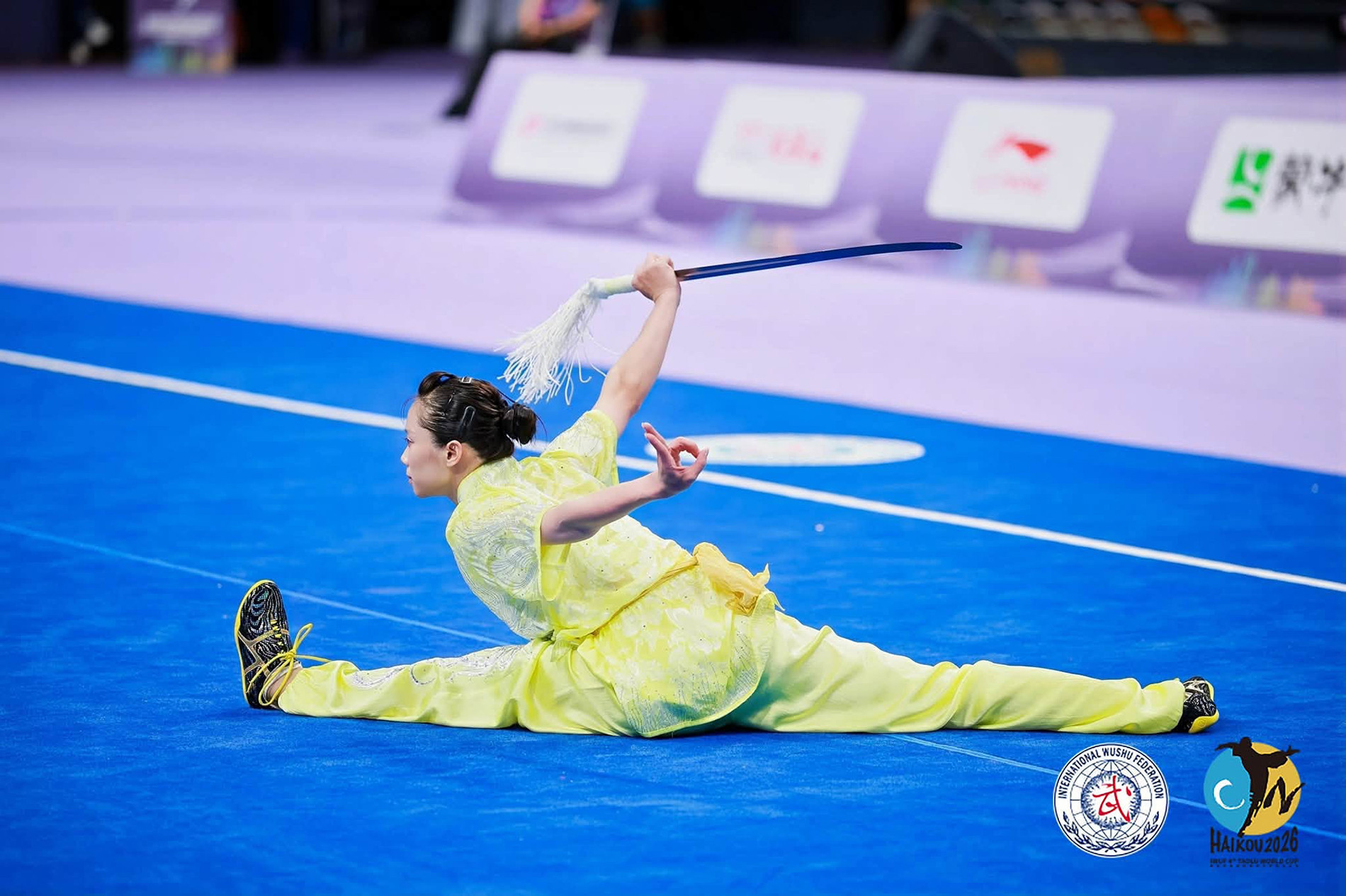 thuy vi wushu6.jpg