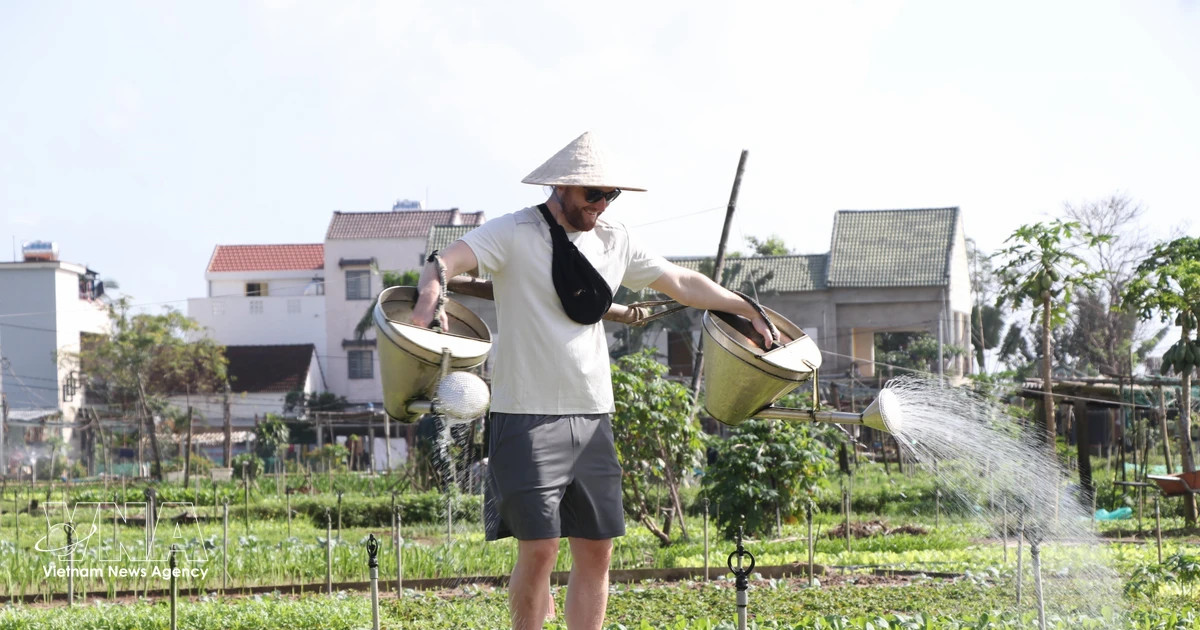 Vietnam invites travellers on multi-sensory journey