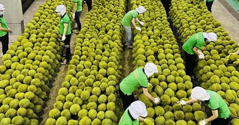 Vietnam urged to form government task force for USD100bn export goal