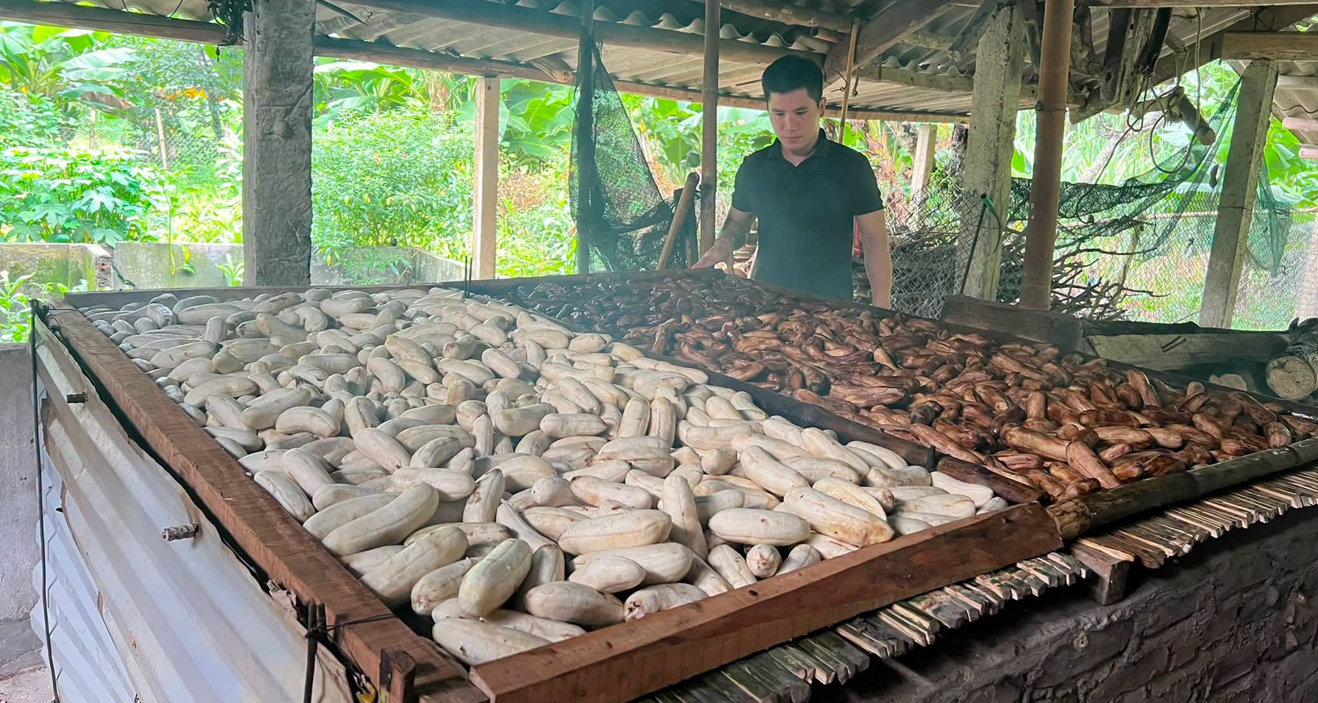 Tuyen Quang's fire-dried banana cake preserves a cherished Tay tradition