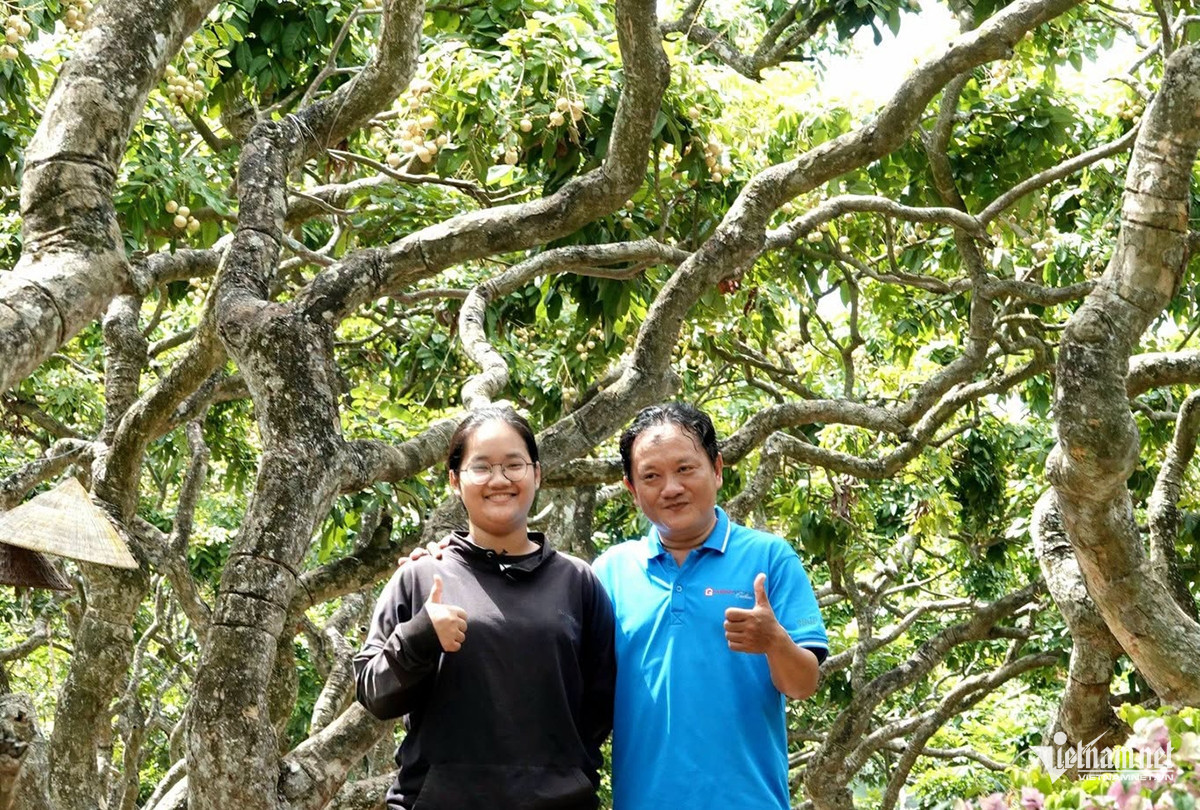 W-Vườn nhãn 124.jpg