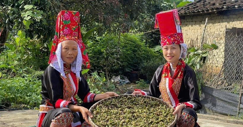 Dao community in Quang Ninh carves its own path out of poverty