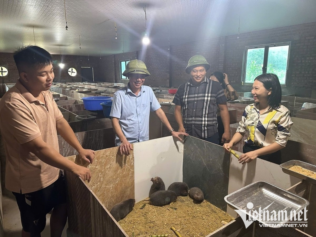 W-Anh Trưởng A Si đưa lãnh đạo xã thăm mô hình nuôi dúi của gia đình.jpg