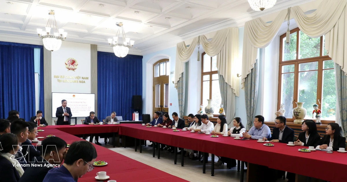 Quang Ninh targets Russian travellers as arrivals surge