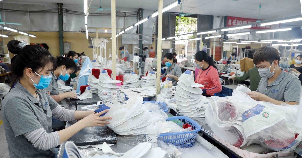 Footwear industry accelerates green transition, strengthens supply chains