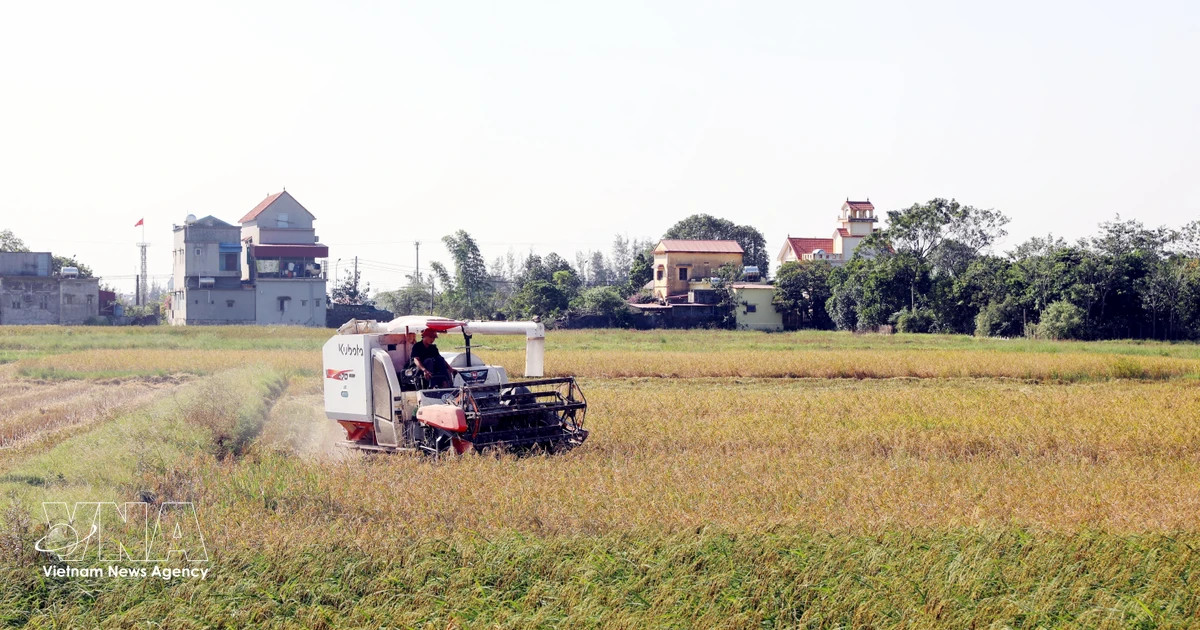 Plan issued to develop agricultural logistics system