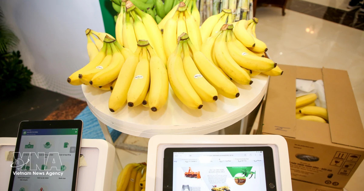 Technology, digitalisation boost competitiveness of Vietnamese farm produce