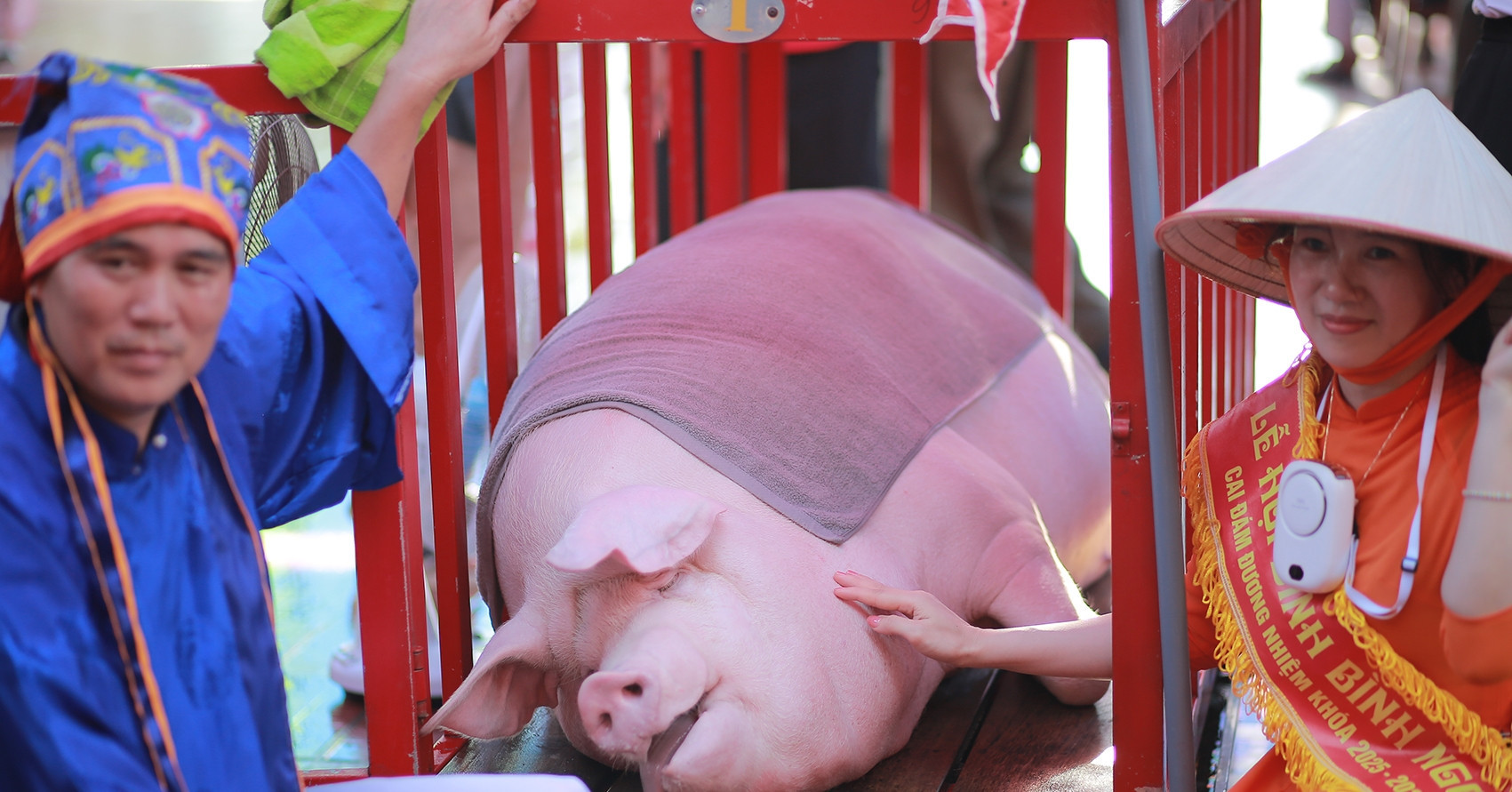 The unique festival where pigs become ‘elephants’ in northern Vietnam