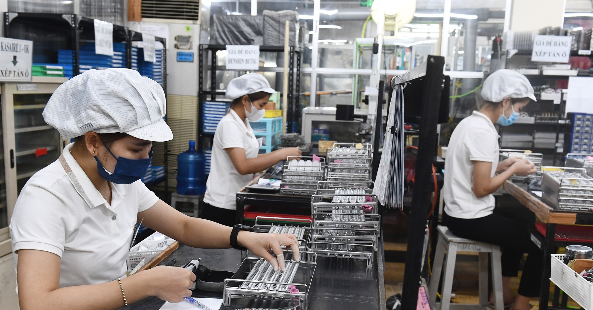 Vietnam weighs new policy for overseas skilled professionals