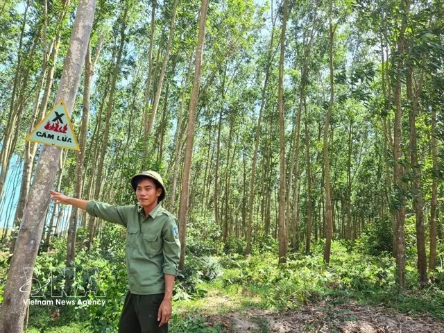 96-million-USD project promotes agroforestry to cut emissions