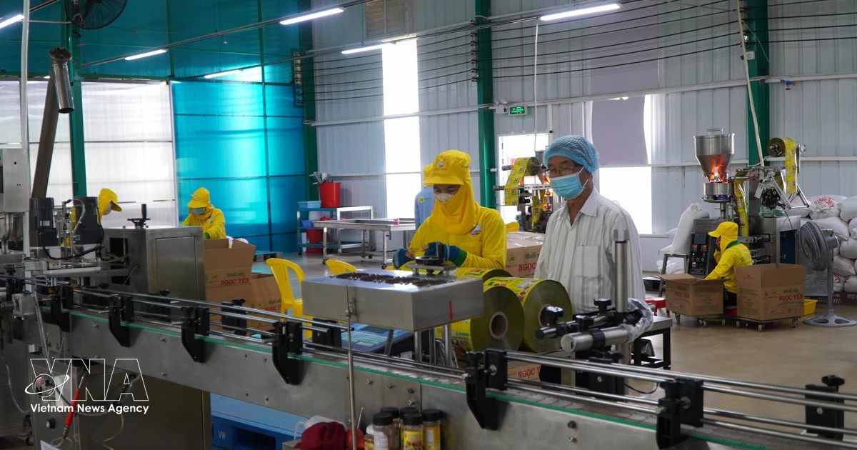 Broadening financing channels key to unlocking SME growth