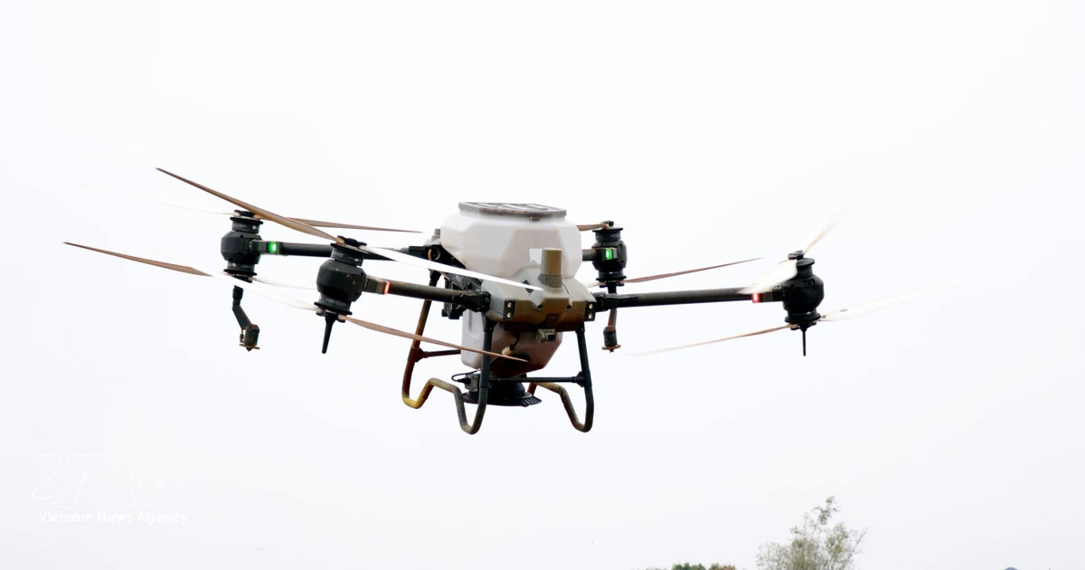 Expert proposes 3 strategies for VN to develop strategic technology products