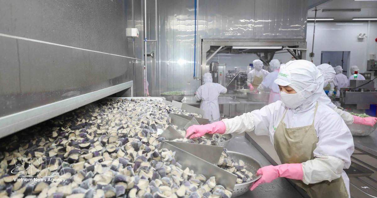 Vietnam remains ASEAN’s fastest-growing economy in first half of 2026: experts
