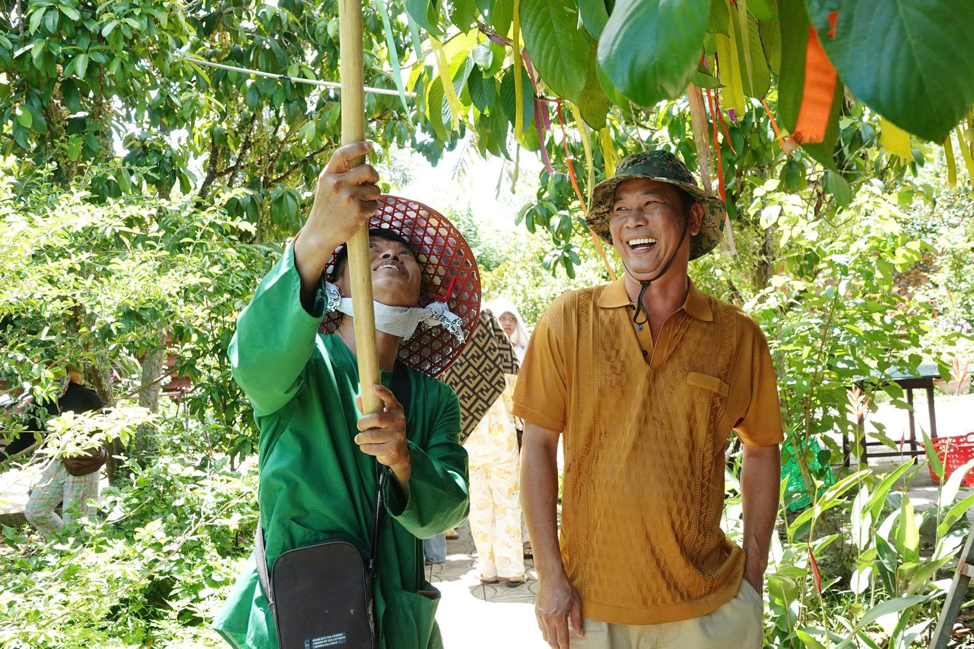 Offering free entry to visitors, Can Tho orchard sells a ton of fruits daily