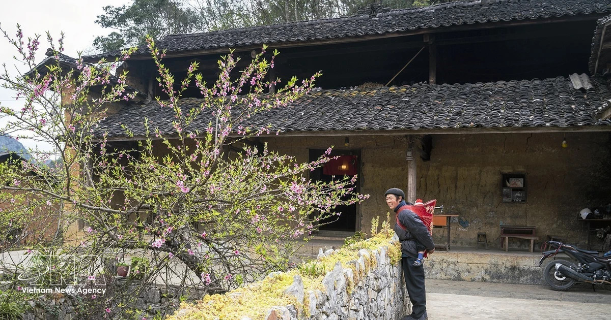 Heritage fuels distinctive destination brands across Vietnam
