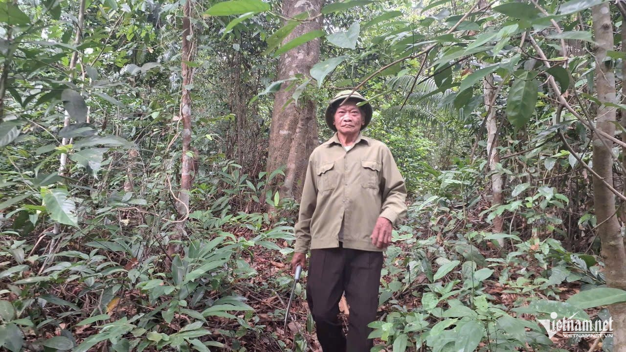 W-anh 14.jpg