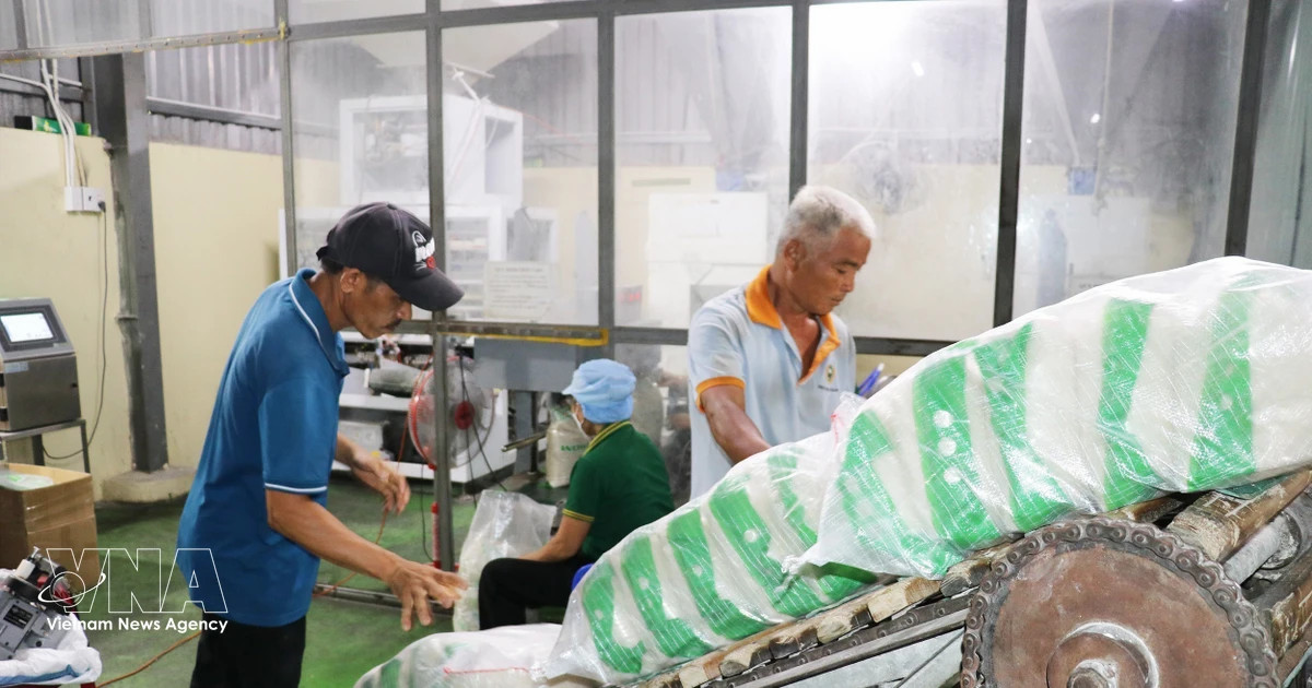 Vietnam exports 5.3 million tonnes of rice, earning 2.52 billion USD