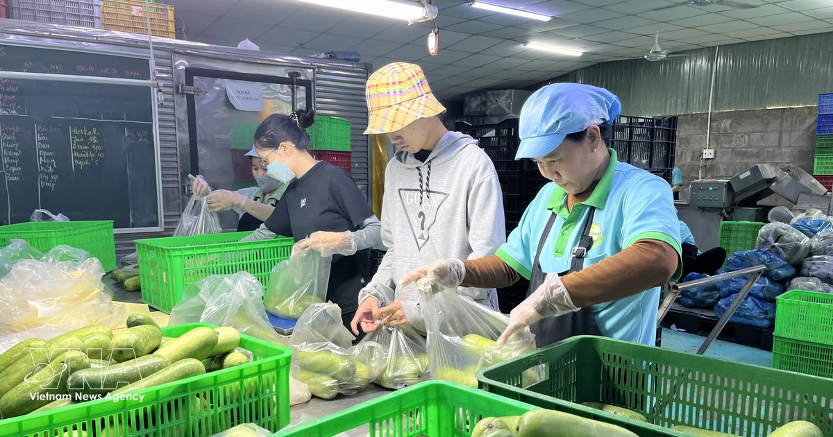 Vietnam records 16.65 billion USD trade deficit in first half