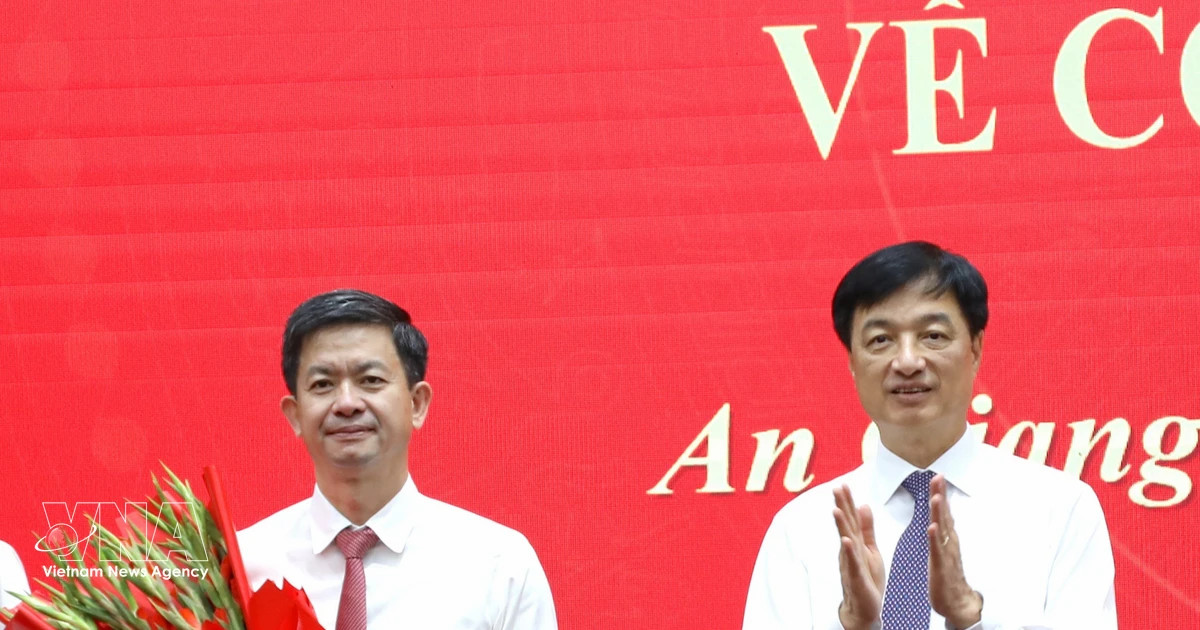Le Quang Tung appointed as Secretary of An Giang provincial Party Committee