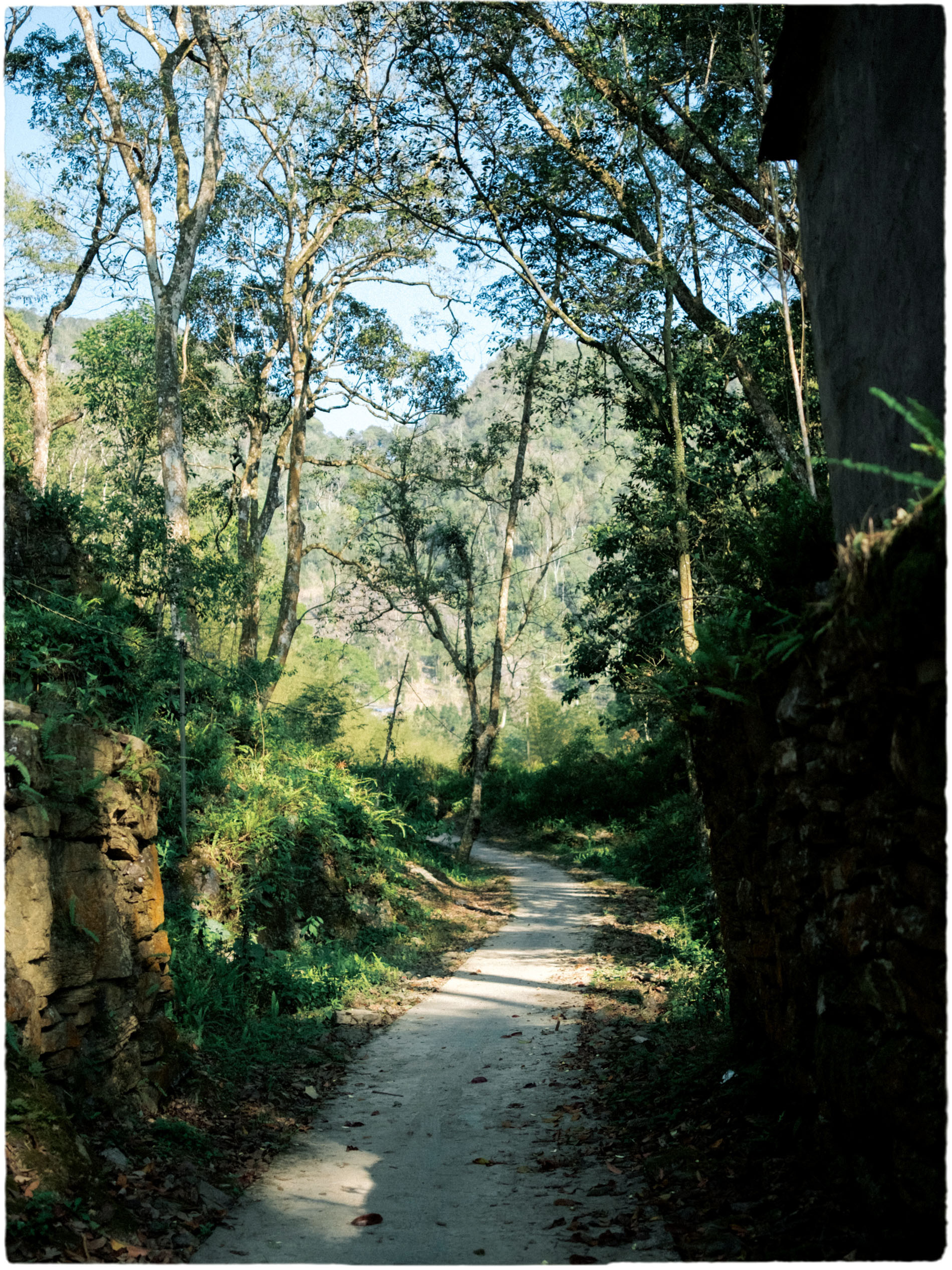 vn village.jpg