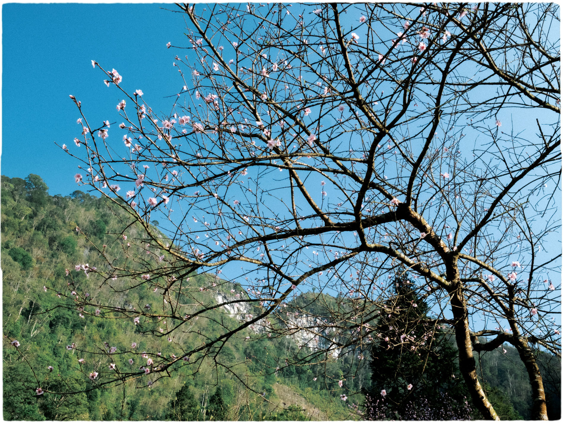 vn village10.jpg