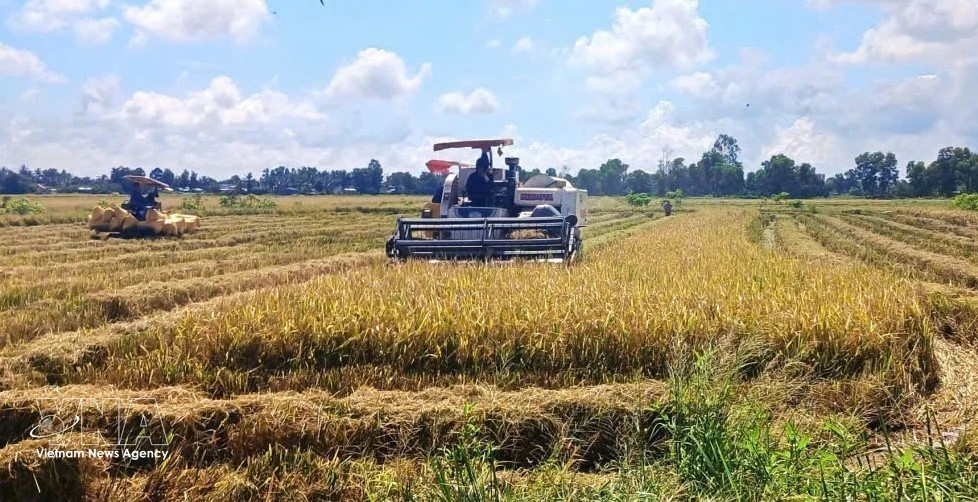 Green finance seen as key to unlocking Vietnam's low-carbon transition