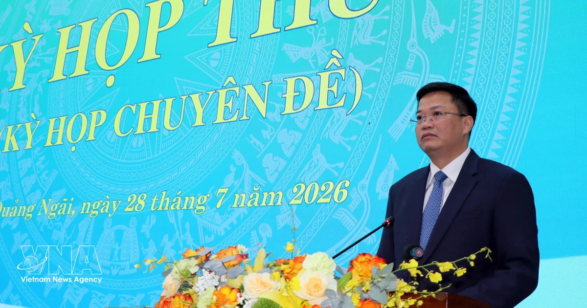 Nguyen Duc Tam elected Chairman of Quang Ngai provincial People's Committee