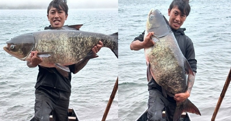 Huge catch draws attention at Vietnam's famous Bien Ho Lake