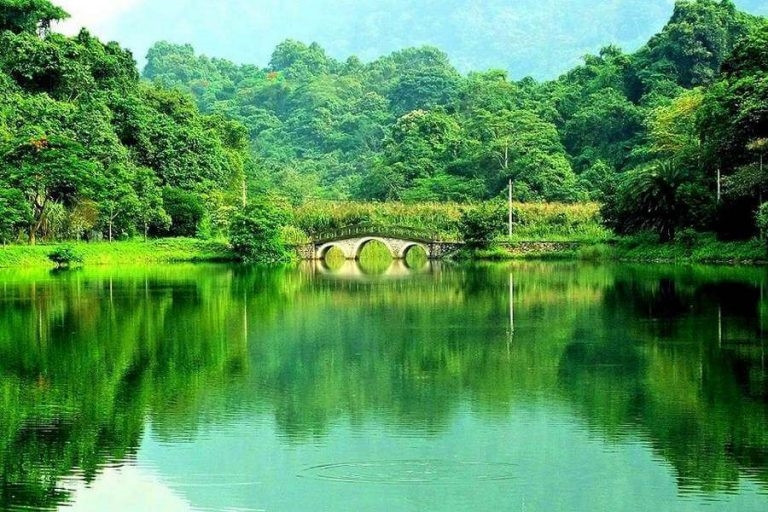 Cuc phương.jpg
