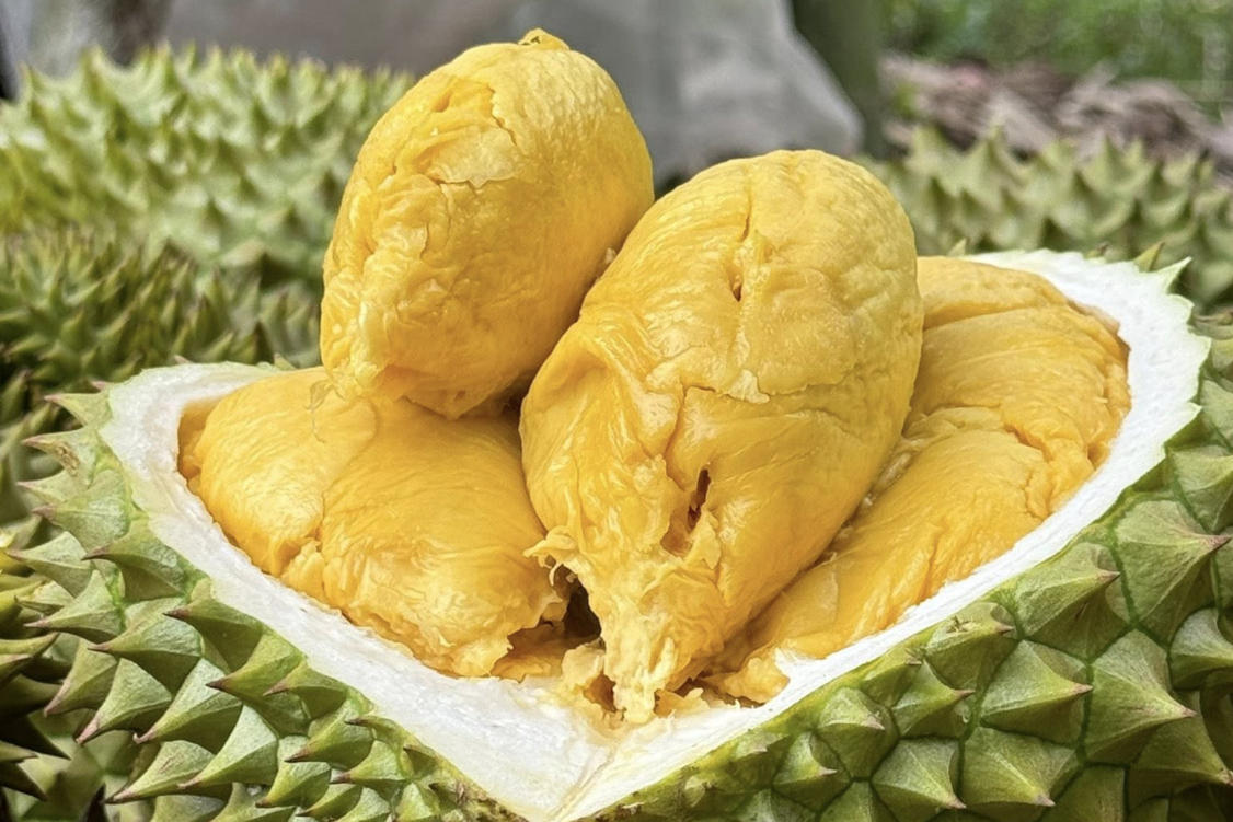 Durian prices plunge as domestic Chinese supply surges