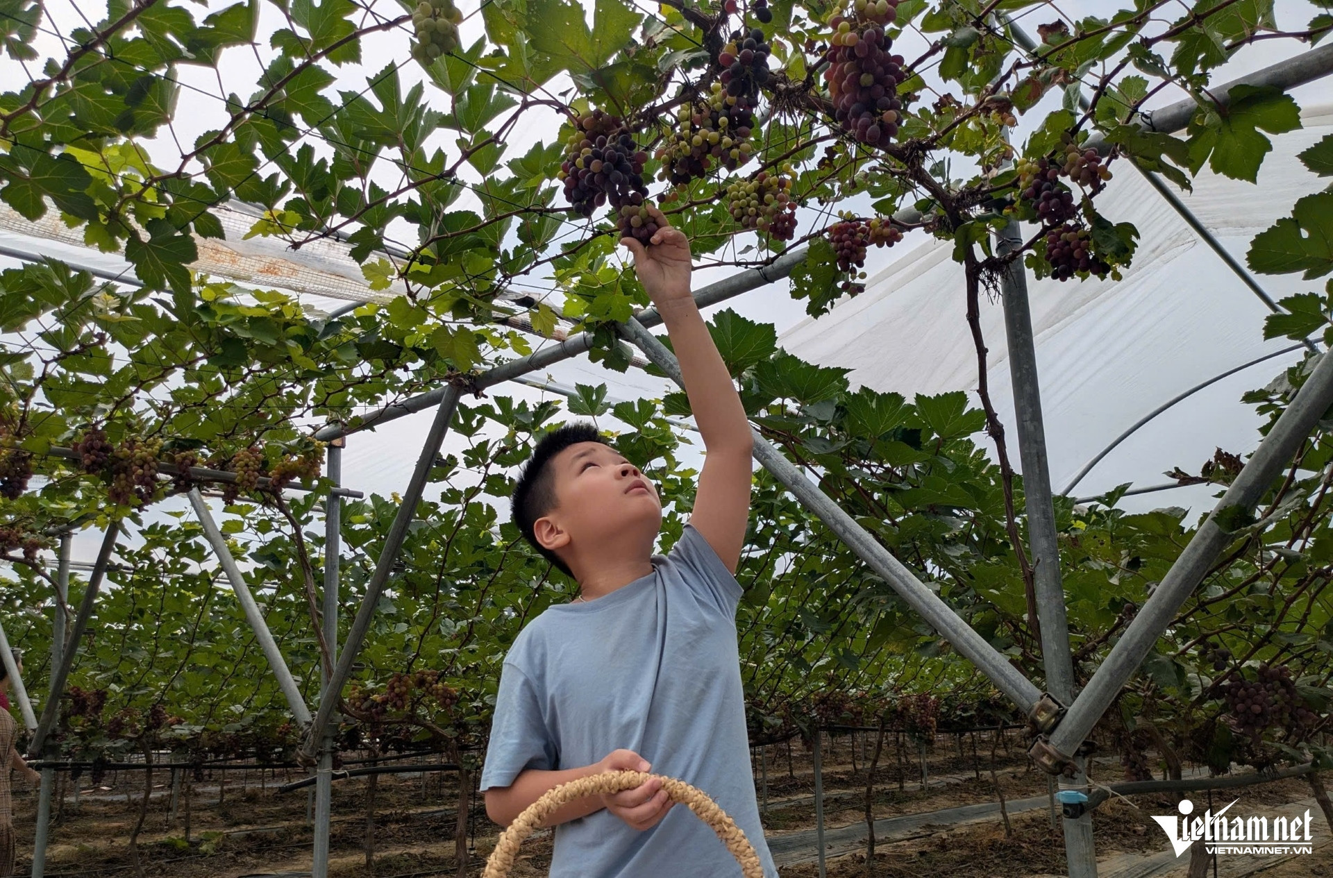 W-a3Mang công thức từ Hàn Quốc.jpg
