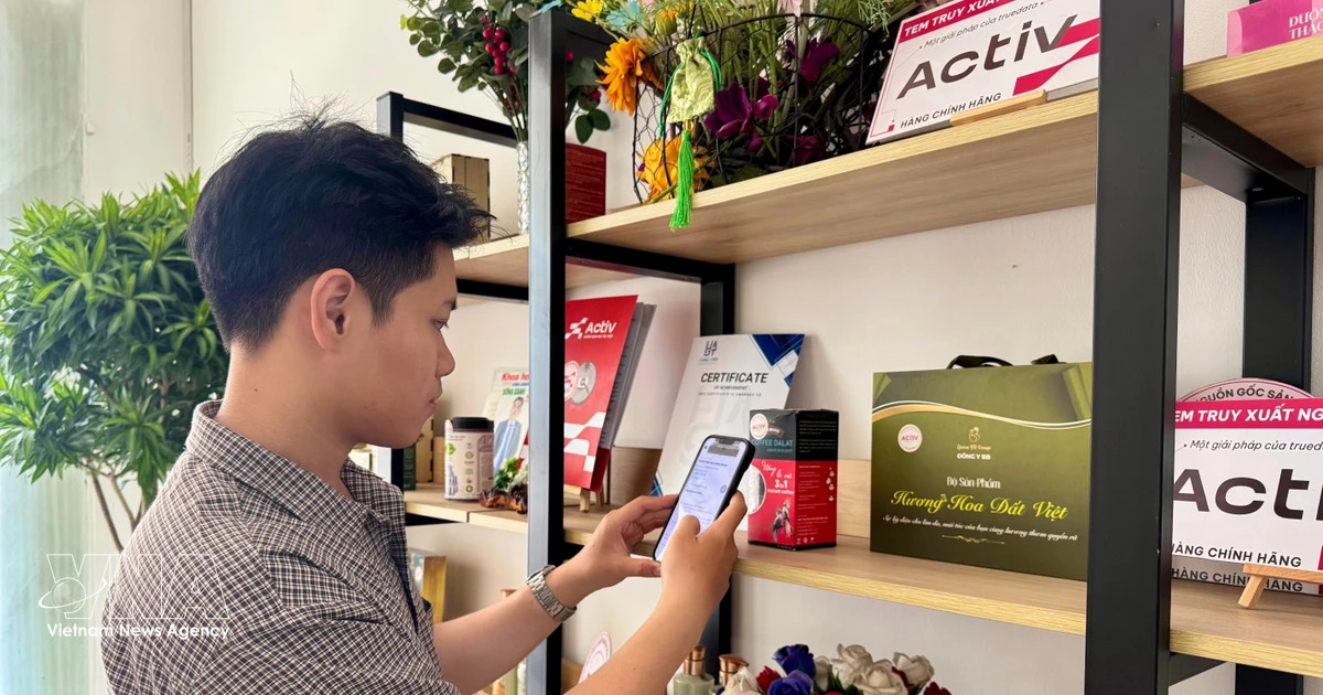 Hanoi pilots digital consumer protection, e-commerce assurance scheme