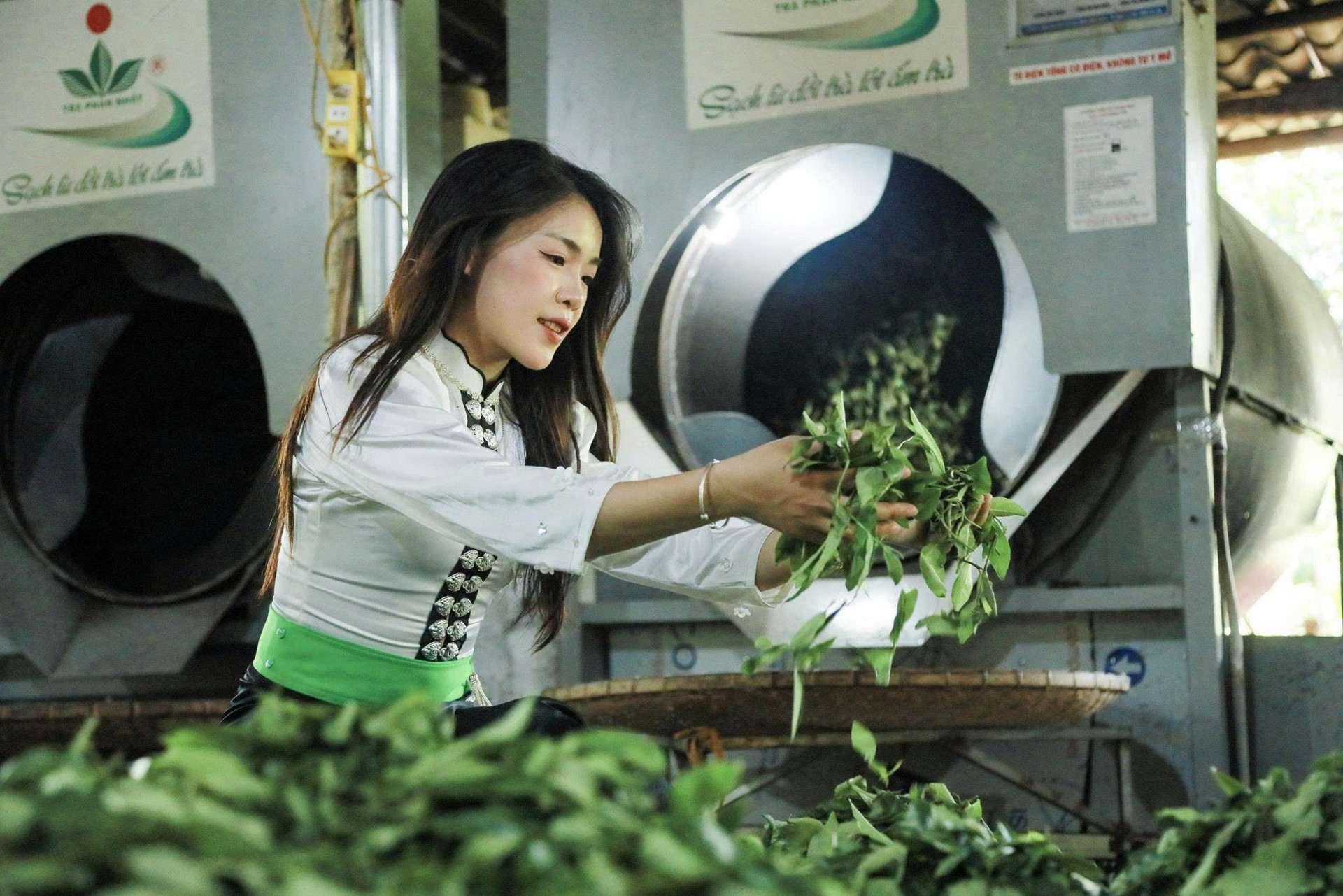 tea farming.jpg