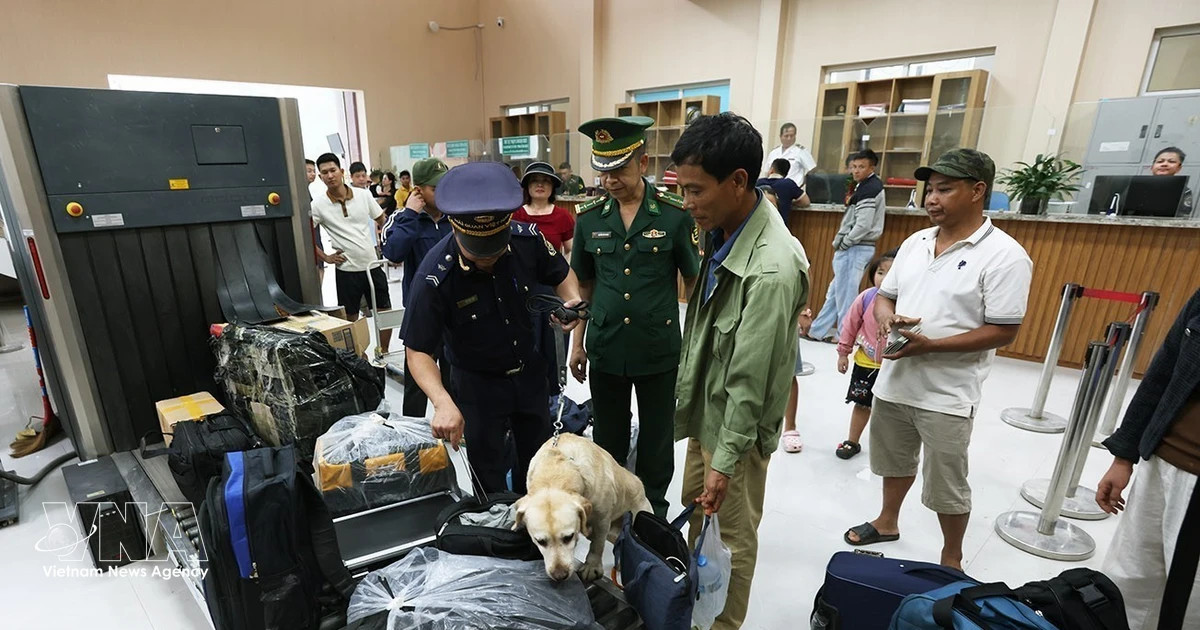 Nearly 20,000 smuggling, counterfeit cases handled in H1