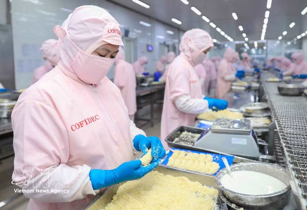A shrimp processing line at the Coastal Fisheries Development Corporation (Cofidec) (Photo: VNA)
