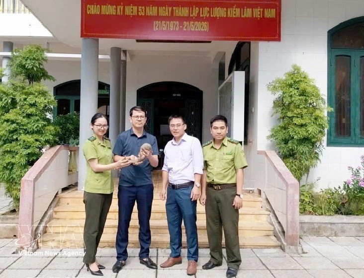 Phong Nha – Ke Bang National Park receives more endangered Sunda pangolins