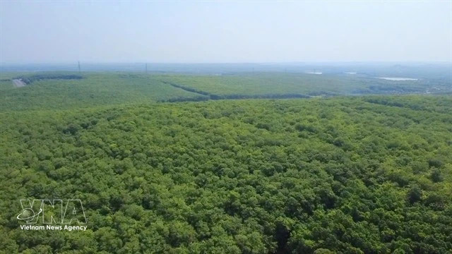 Rubber traceability accelerated as EU deforestation regulation deadline nears
