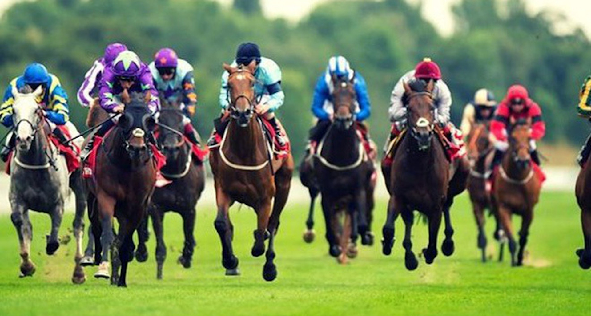 Hanoi clears detailed plan for US$420 million horse racing project