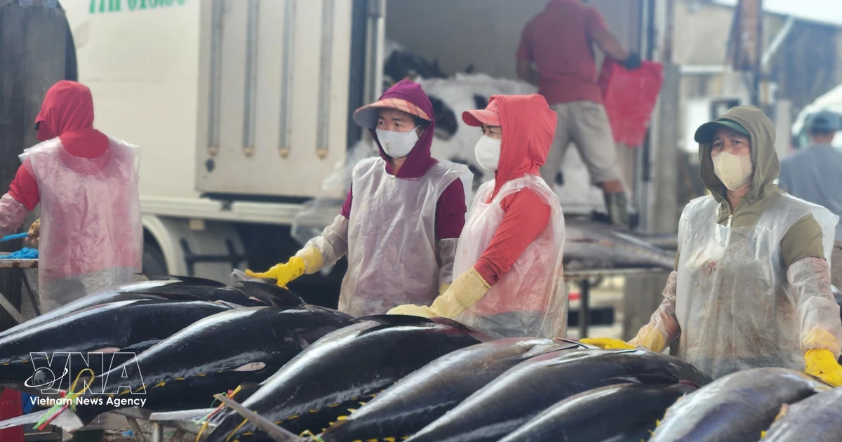Vietnam-Israel trade set to approach 4 billion USD